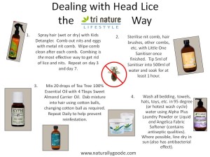 Dealing with Head Lice – Naturally Goode