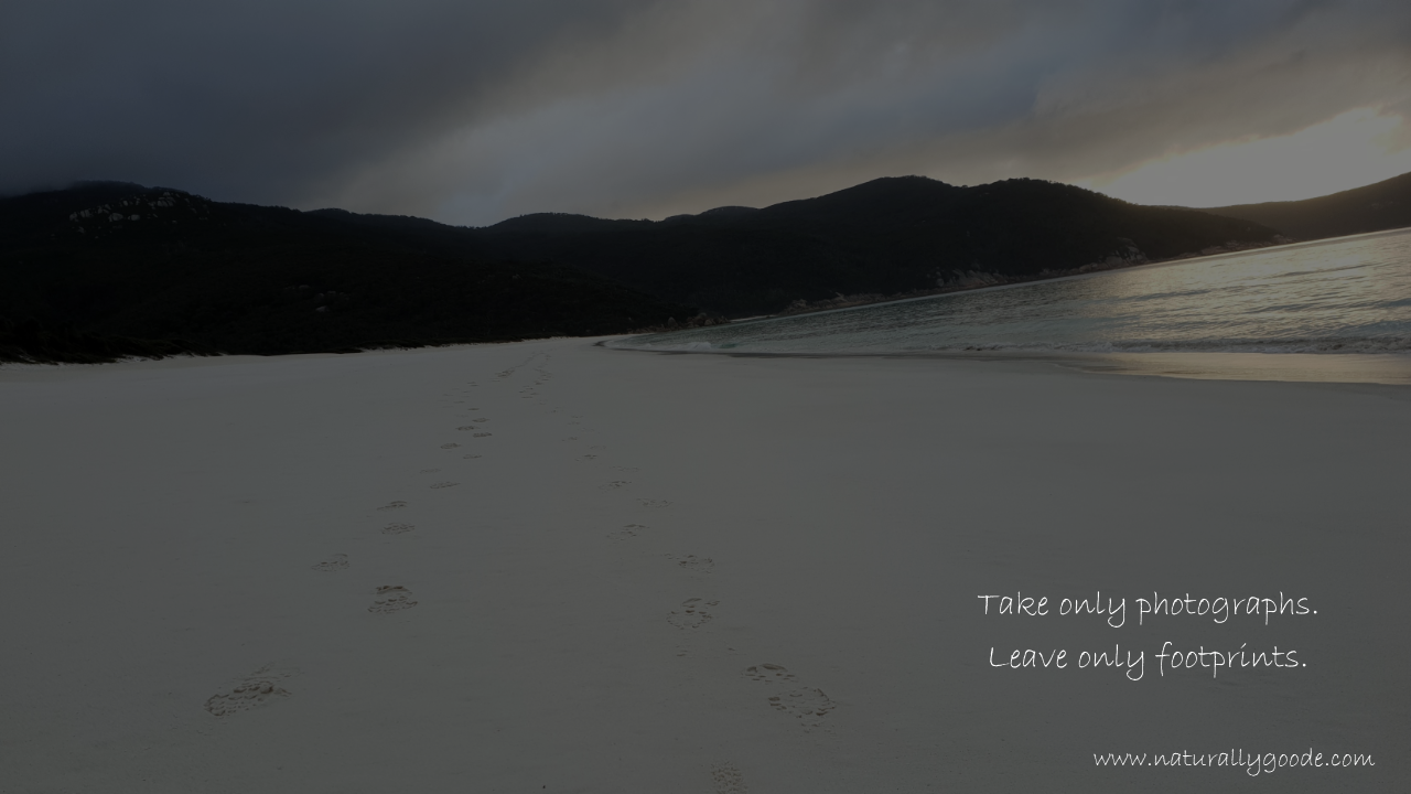 Leave only footprints